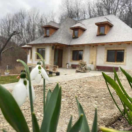 Villa Casa Cu Sindrila Vălenii de Munte Exterior foto