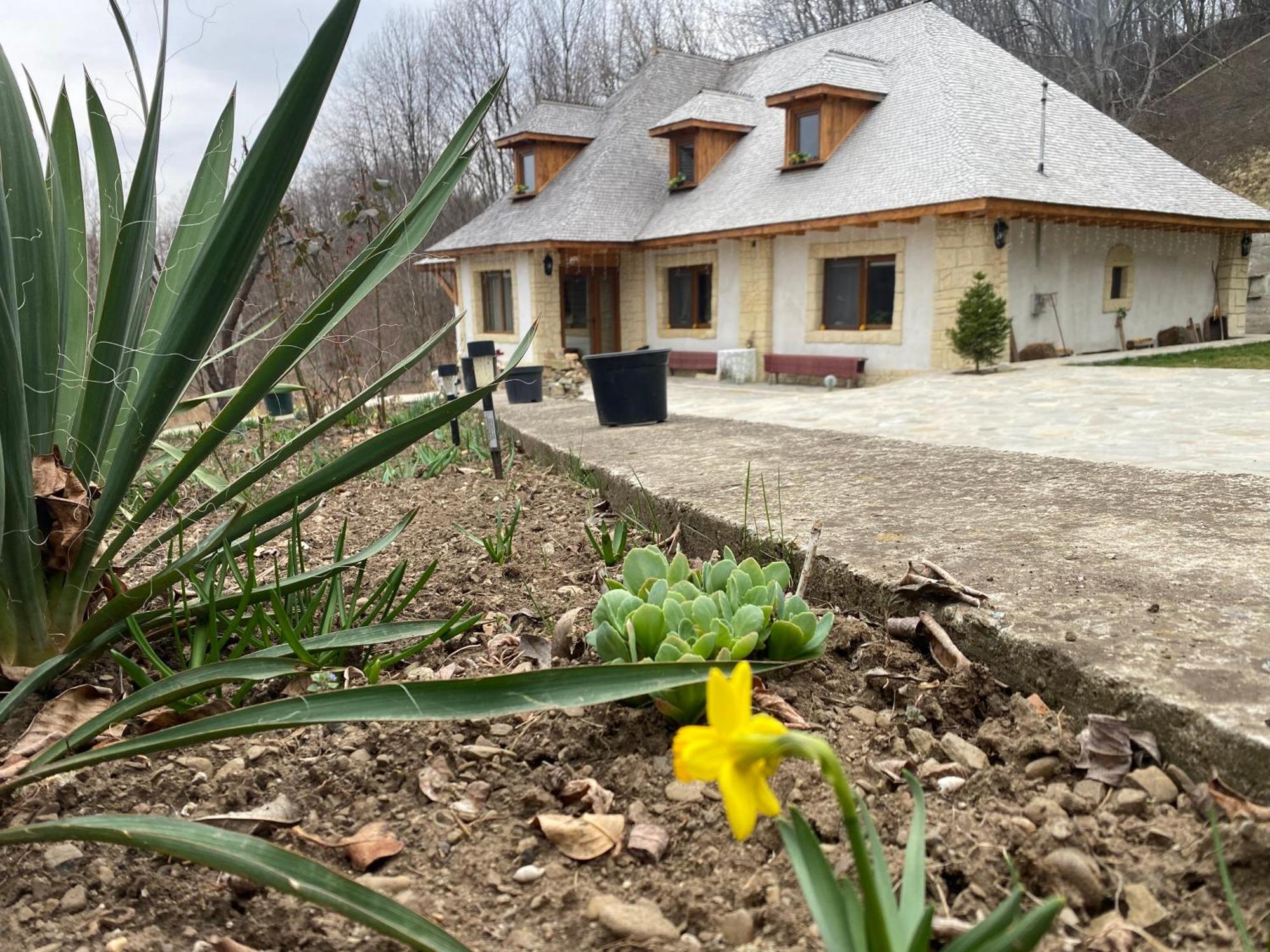 Villa Casa Cu Sindrila Vălenii de Munte Exterior foto